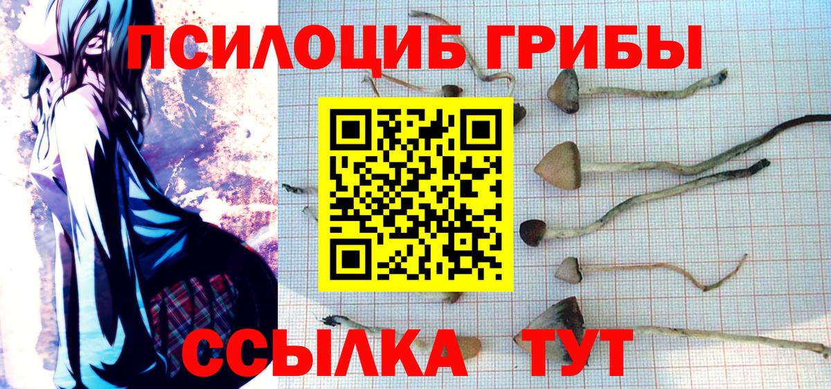 Галлюциногенные грибы ЛСД Сокол