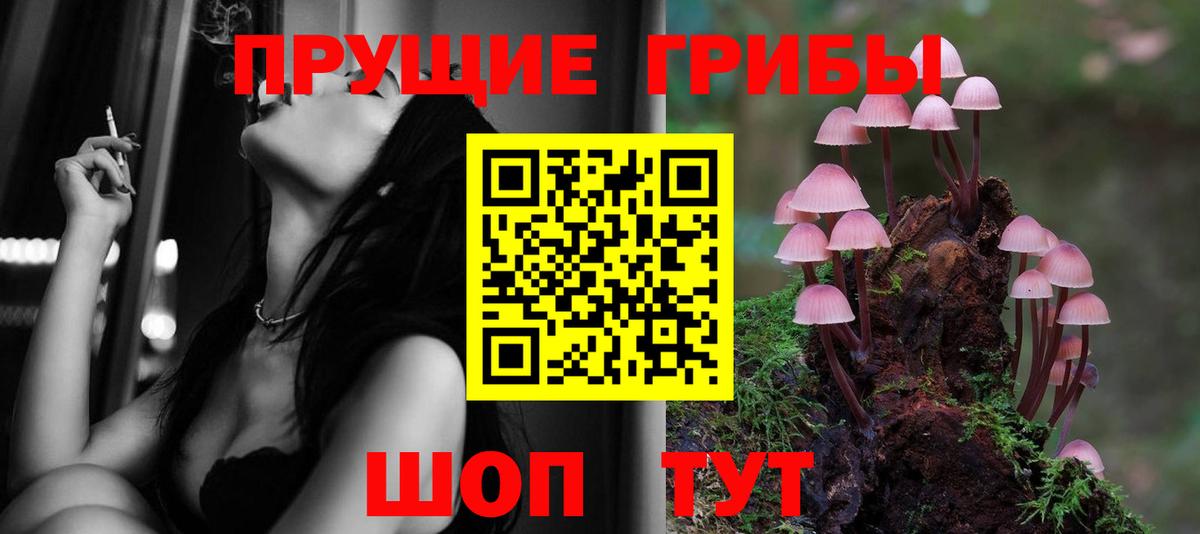 Псилоцибиновые грибы мухоморы  Галлюциногенные грибы GOLDEN TEACHER  где купить наркоту  Вход с VPN  Сокол 